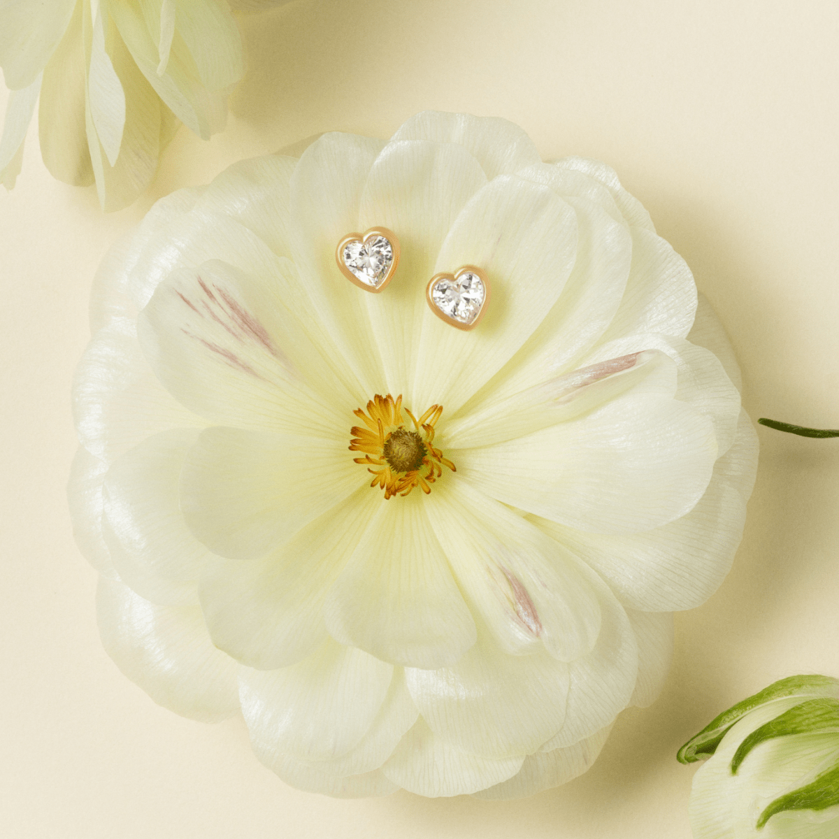 Amorina ørestikker med hjerteformet cubic zirconia plassert på en hvit blomst