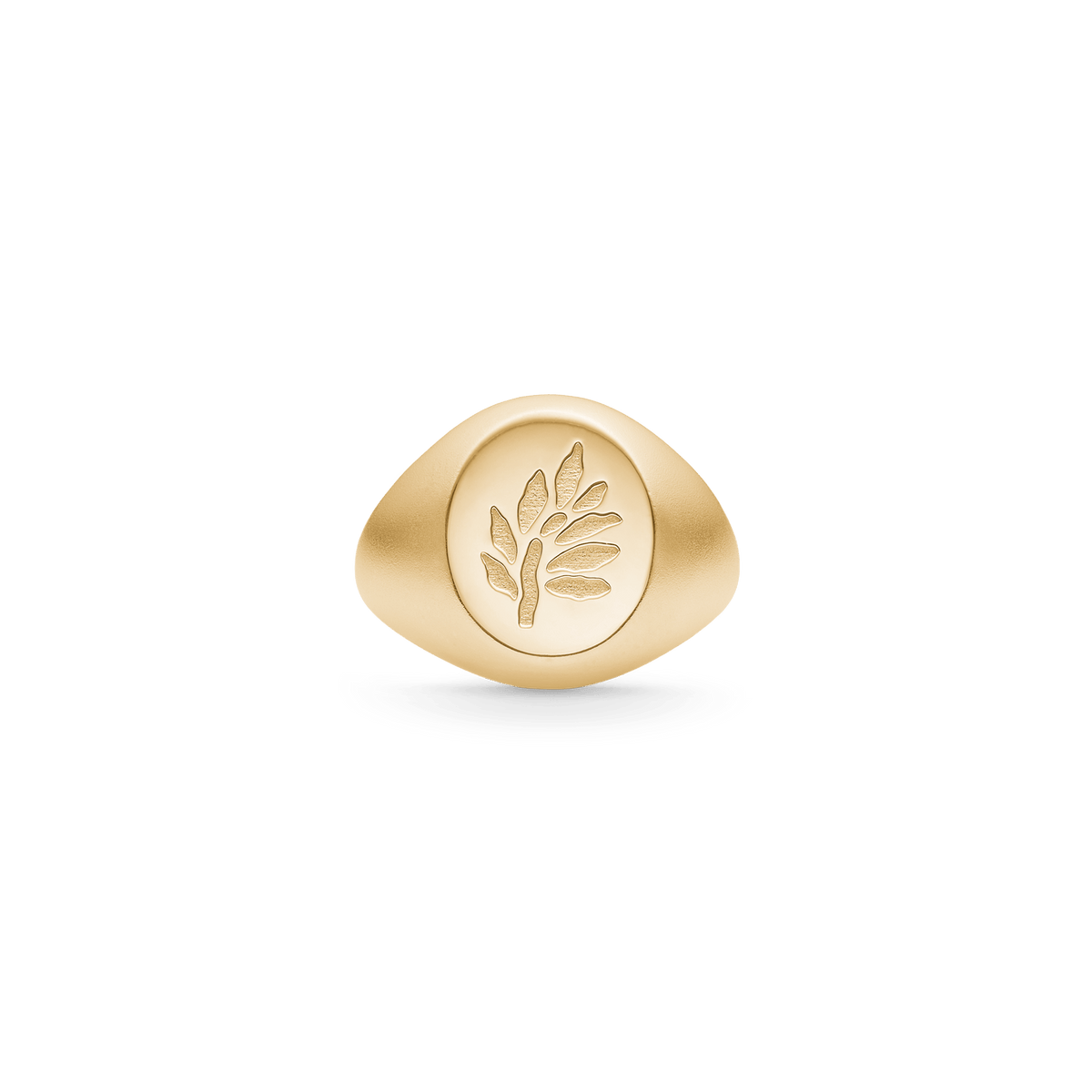 Tree of Life Signet Ring i forgylt sølv med gravert Tree of Life-motiv, sett ovenfra