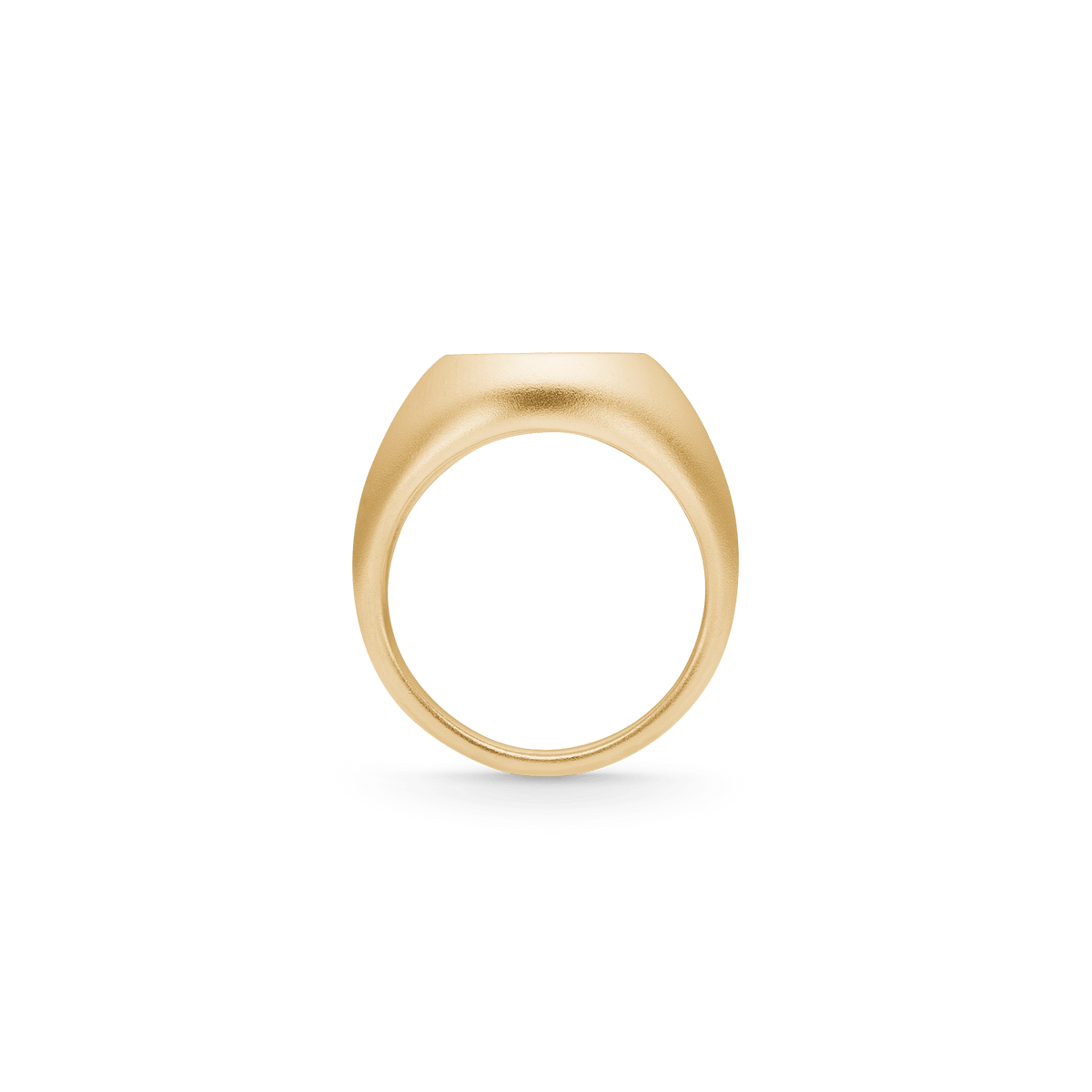 Tree of Life Signet Ring i forgylt sølv, profil av ringskinnen